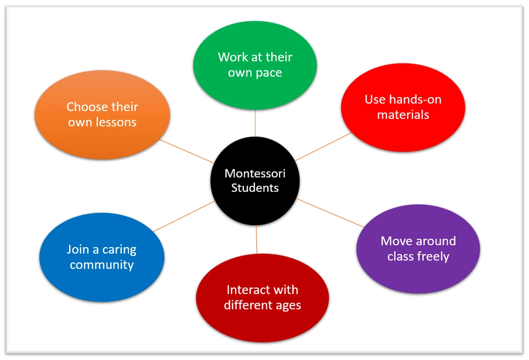 Montessori Students Chart